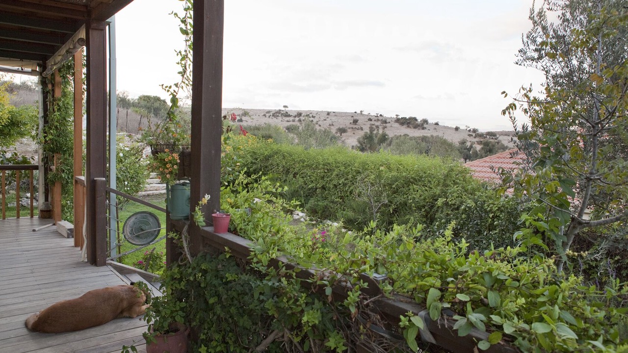 Photo of Outdoor in Amikam