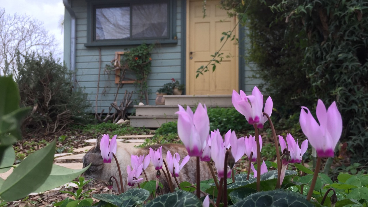 Photo of Outdoor in Amikam