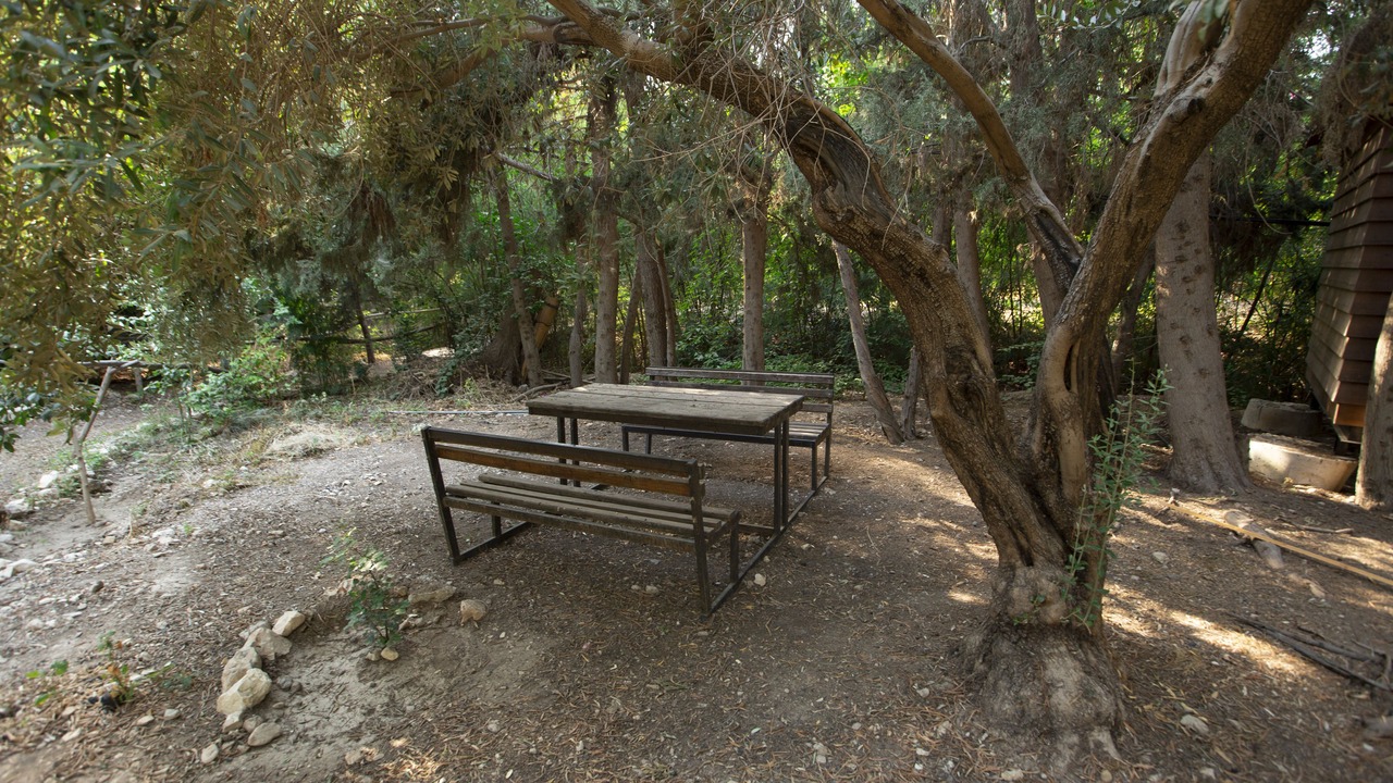 Photo of Outdoor in Waqqas