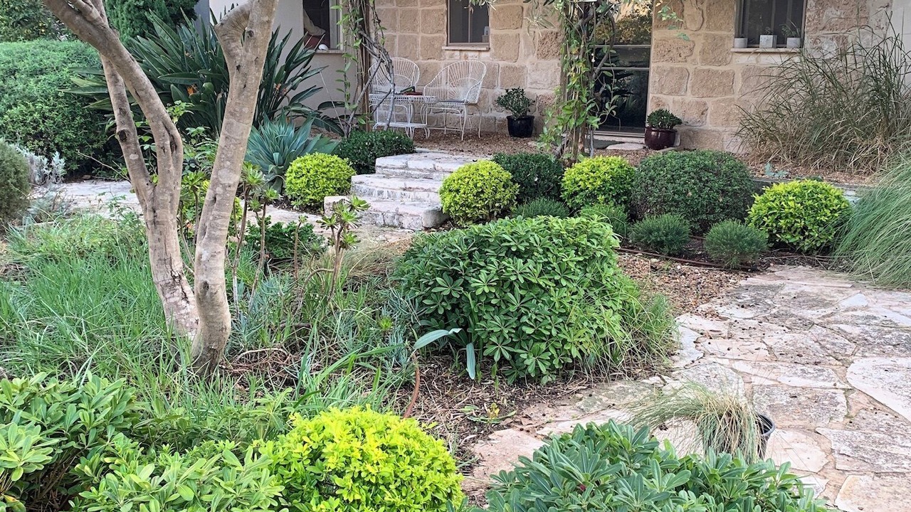 Photo of Outdoor in Zikhron Ya'aqov