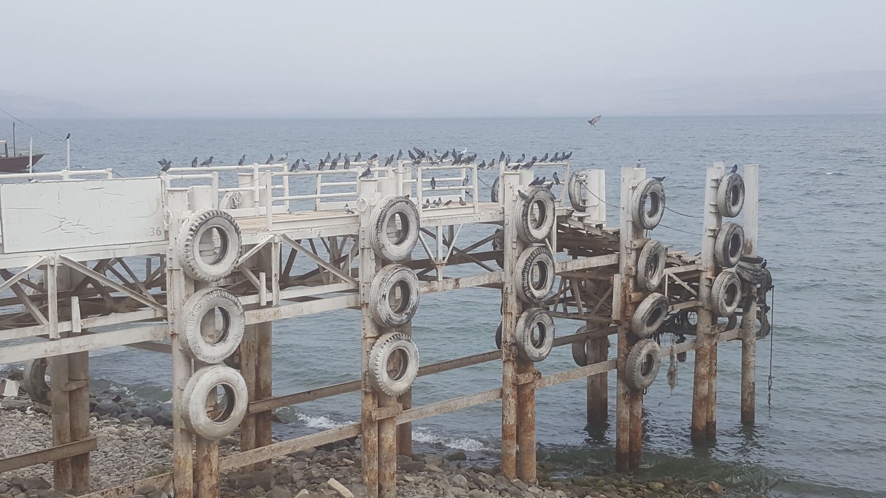 Photo of Others in Tiberias Old City