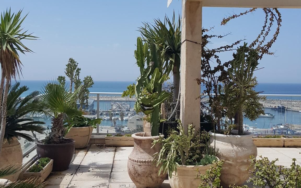 Photo of Patio Balcony in Ashdod