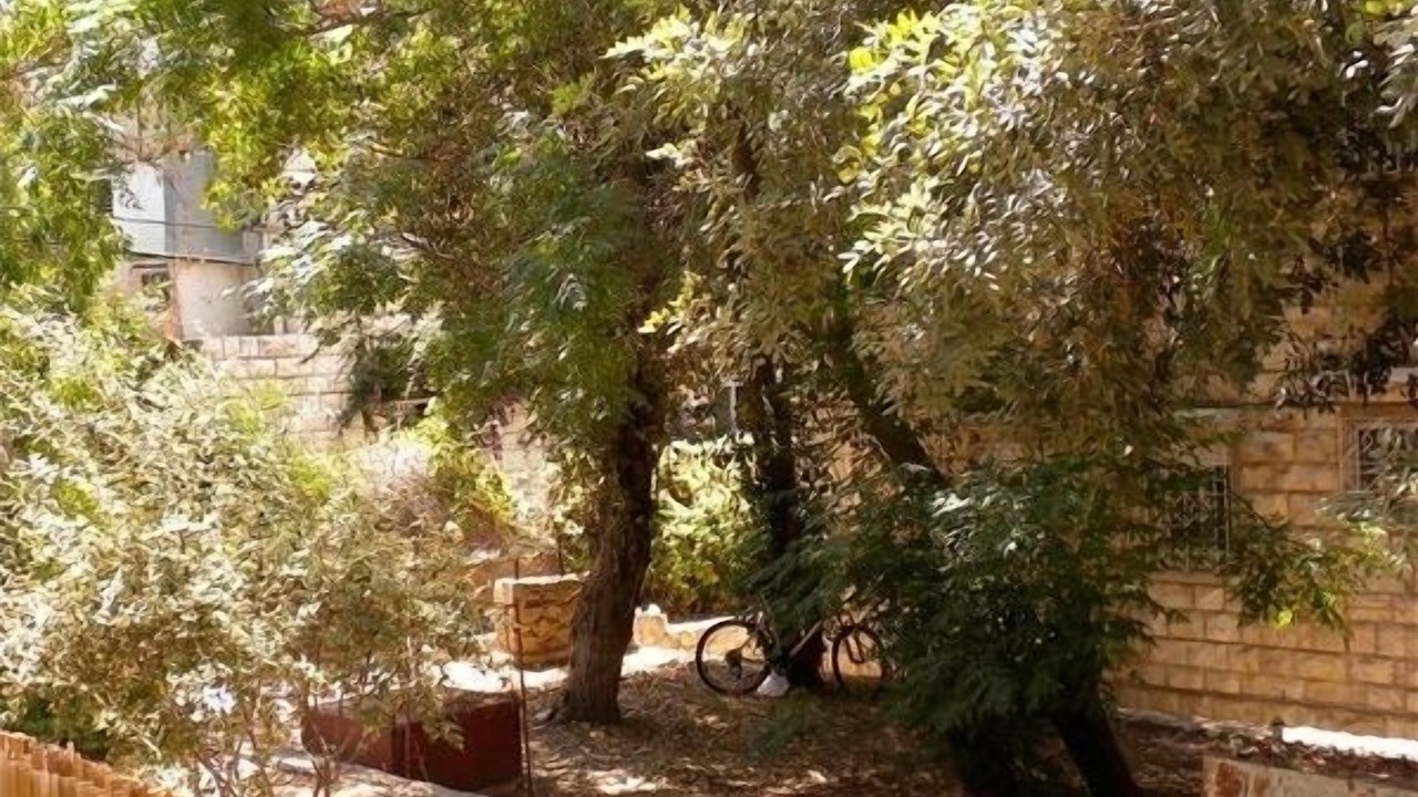 Photo of Outdoor in Nachlaot