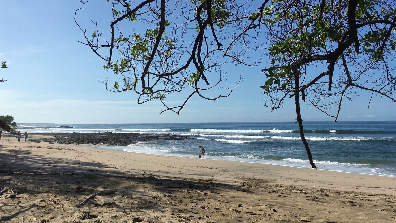 Photo of Others in Playa Negra