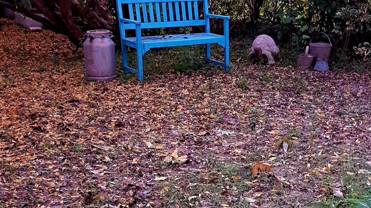 Photo of Outdoor in Hod HaSharon