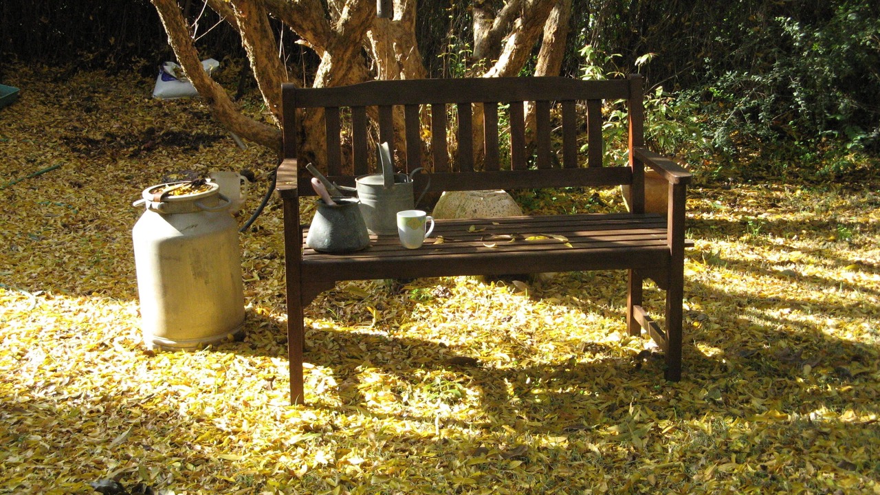 Photo of Outdoor in Hod HaSharon