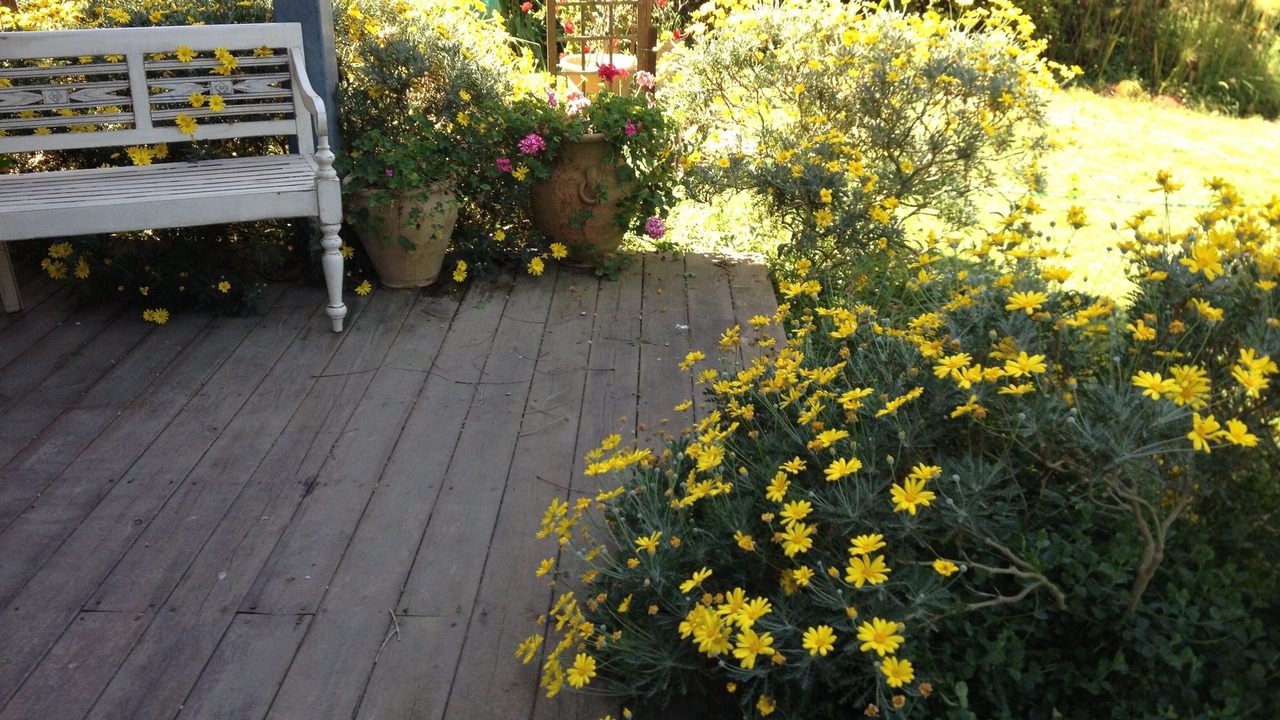Photo of Outdoor in Hod HaSharon