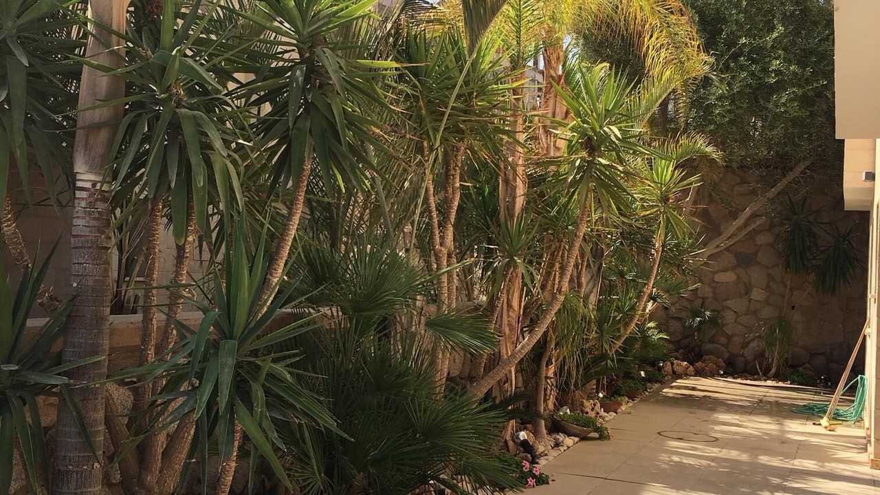 Photo of Outdoor in Eilat