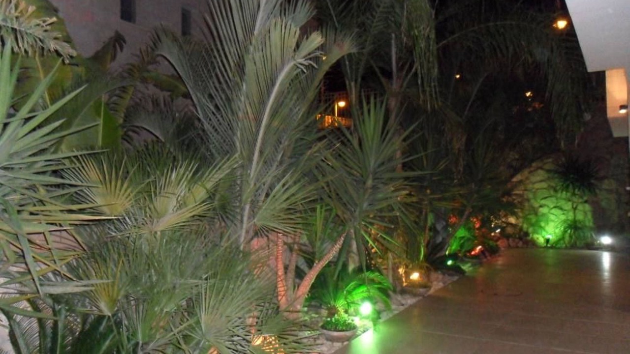 Photo of Outdoor in Eilat