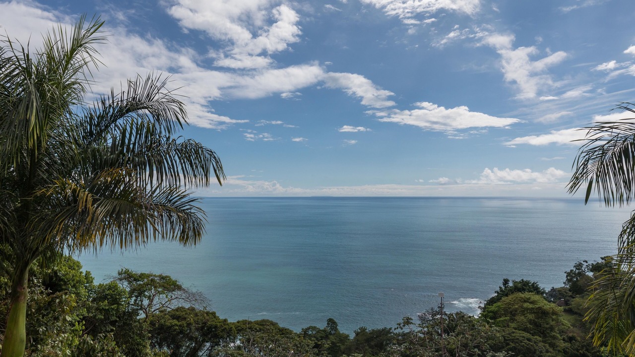 Photo of Others in Dominical