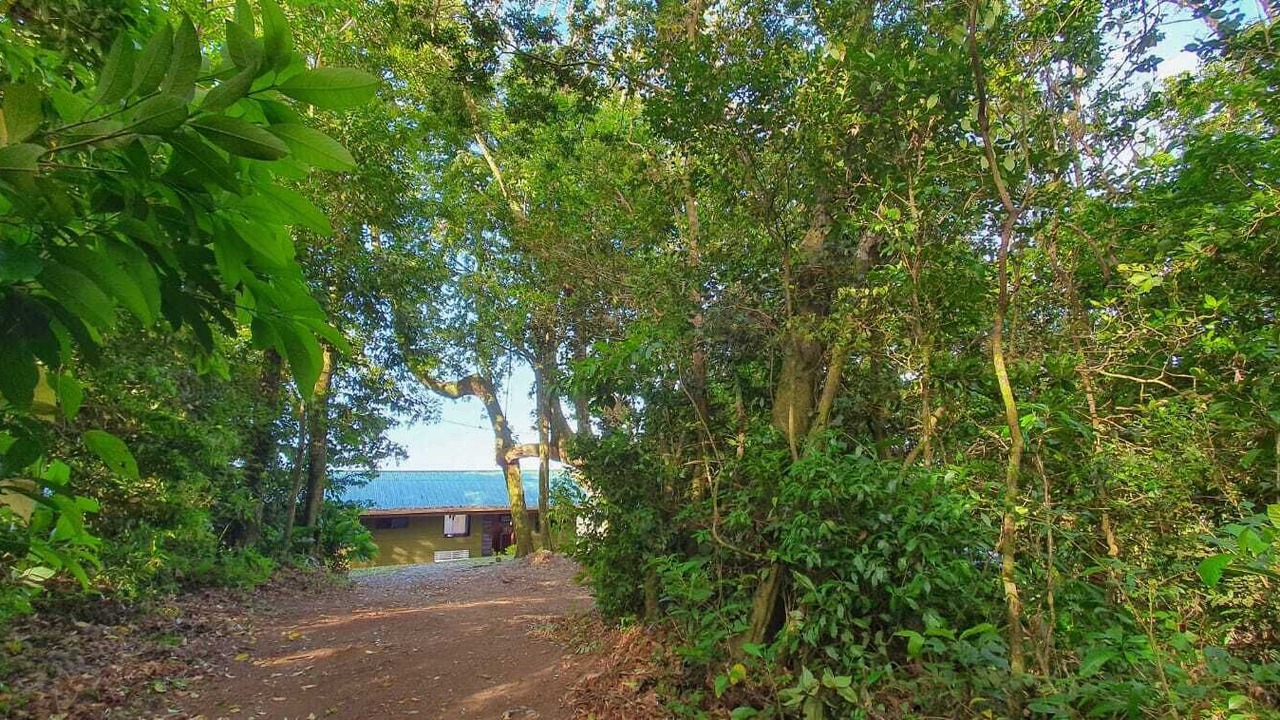 Photo of Outdoor in Sierra