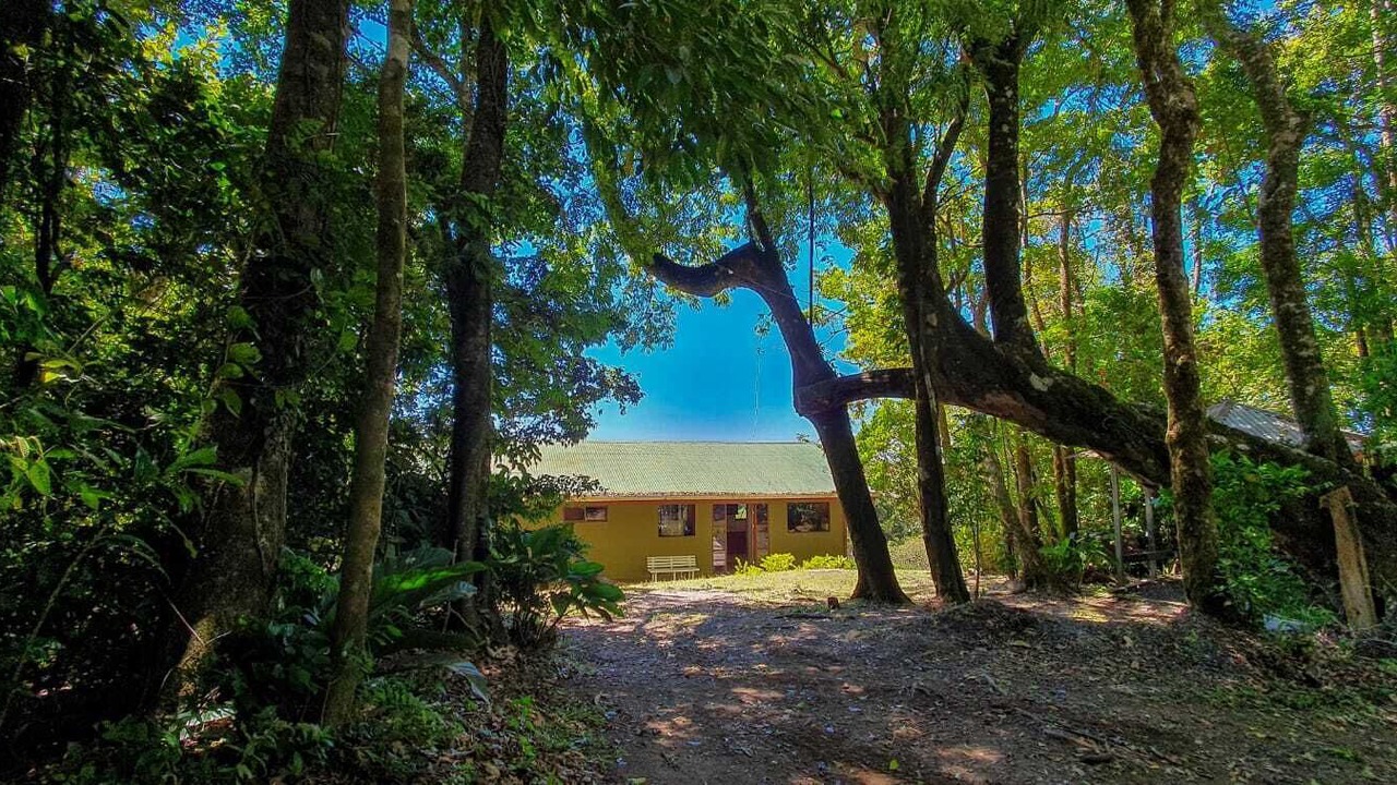Photo of Outdoor in Sierra