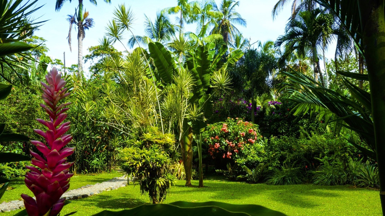 Photo of Outdoor in Puerto Viejo de Talamanca