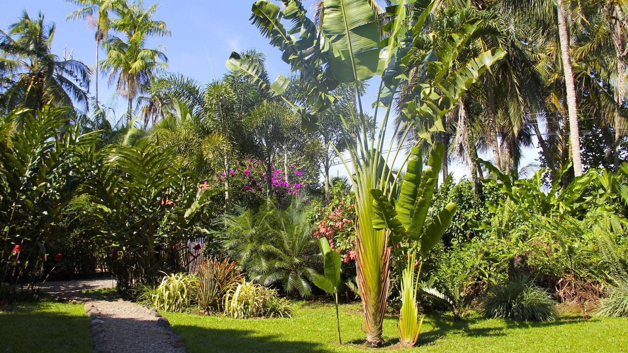 Photo of Others in Puerto Viejo de Talamanca