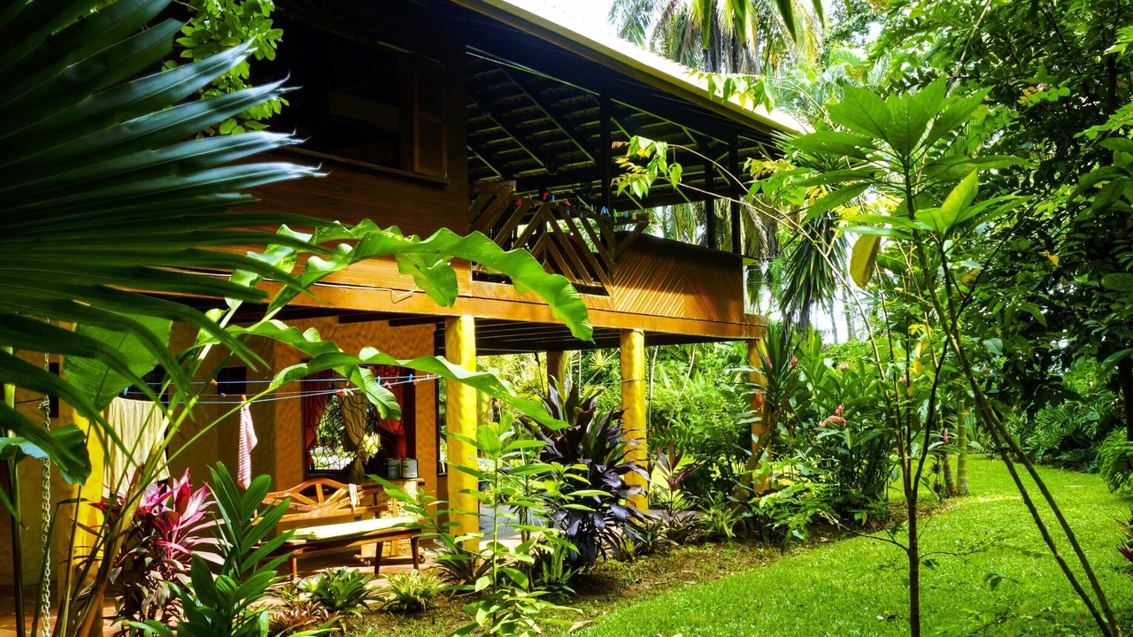 Photo of Others in Puerto Viejo de Talamanca