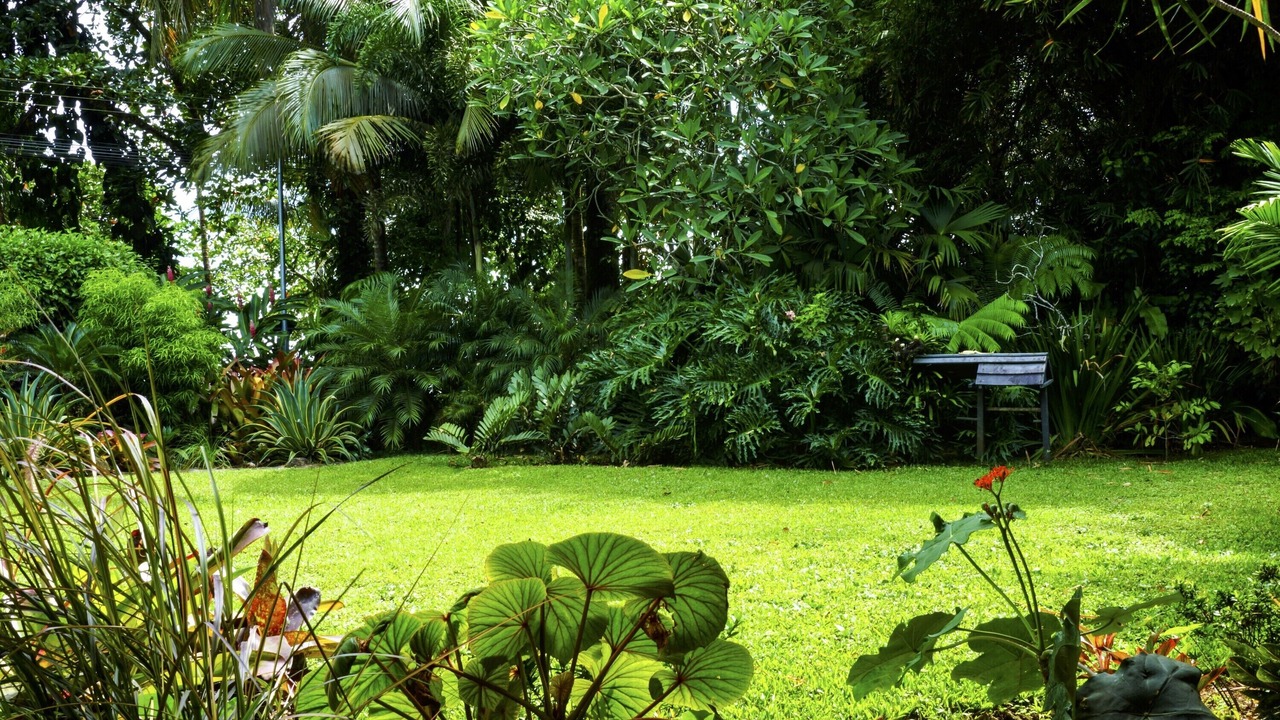 Photo of Outdoor in Puerto Viejo de Talamanca