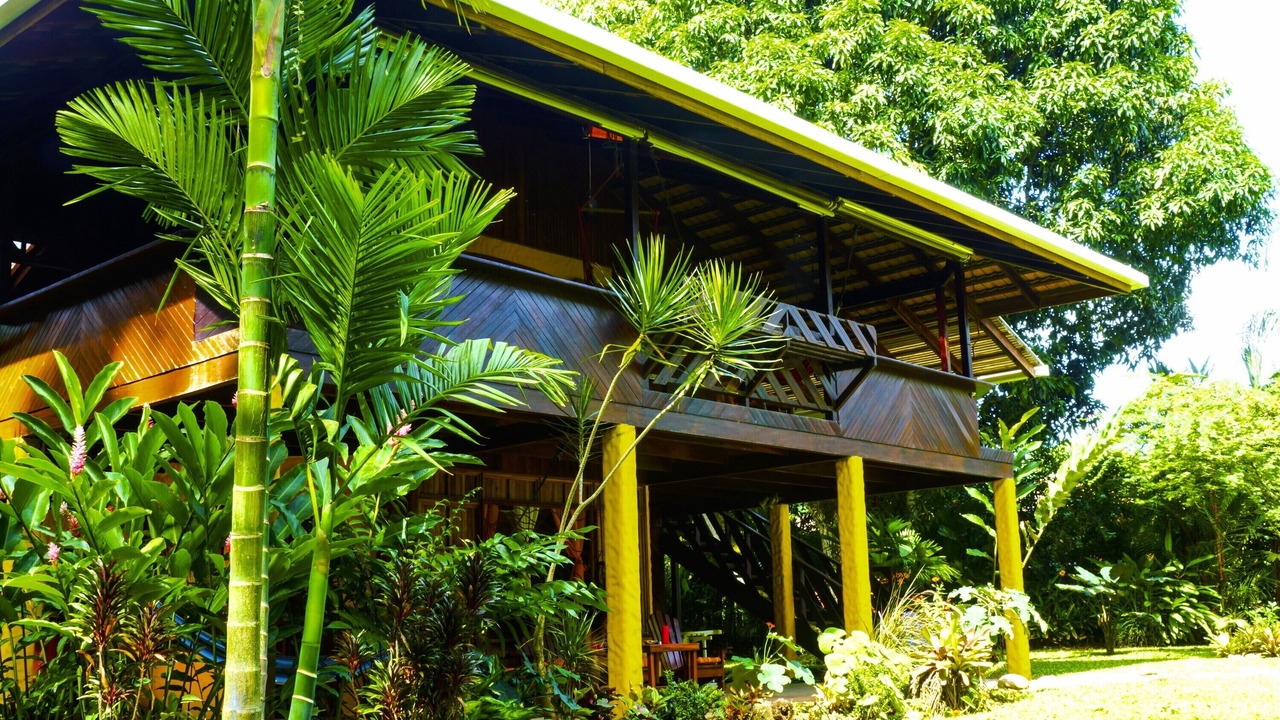 Photo of Others in Puerto Viejo de Talamanca