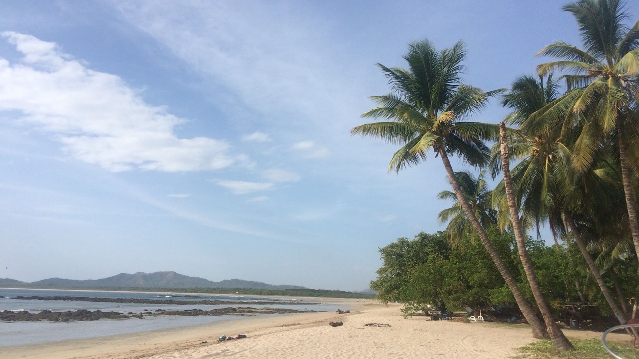 Photo of Others in Tamarindo