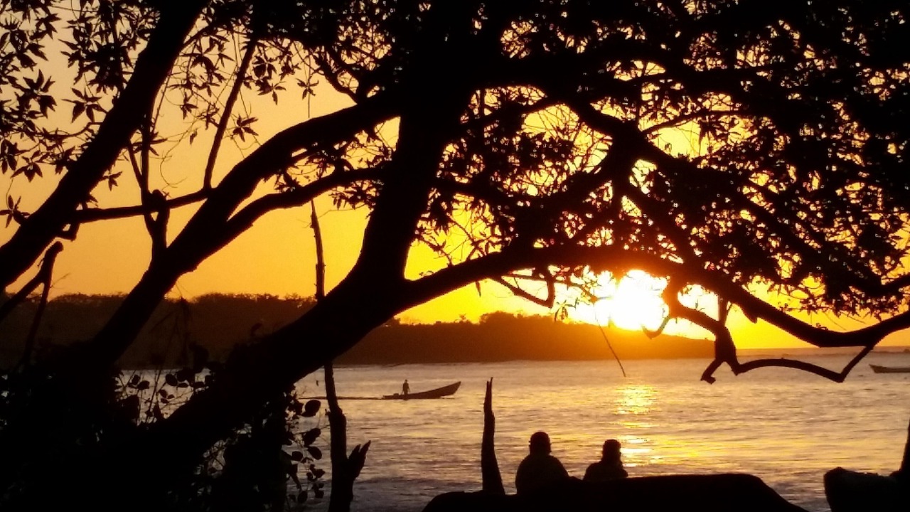 Photo of Others in Tamarindo
