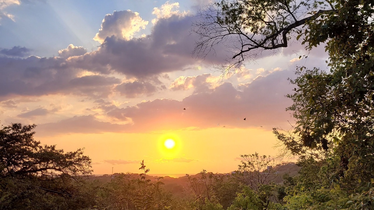 Photo of Others in Tamarindo