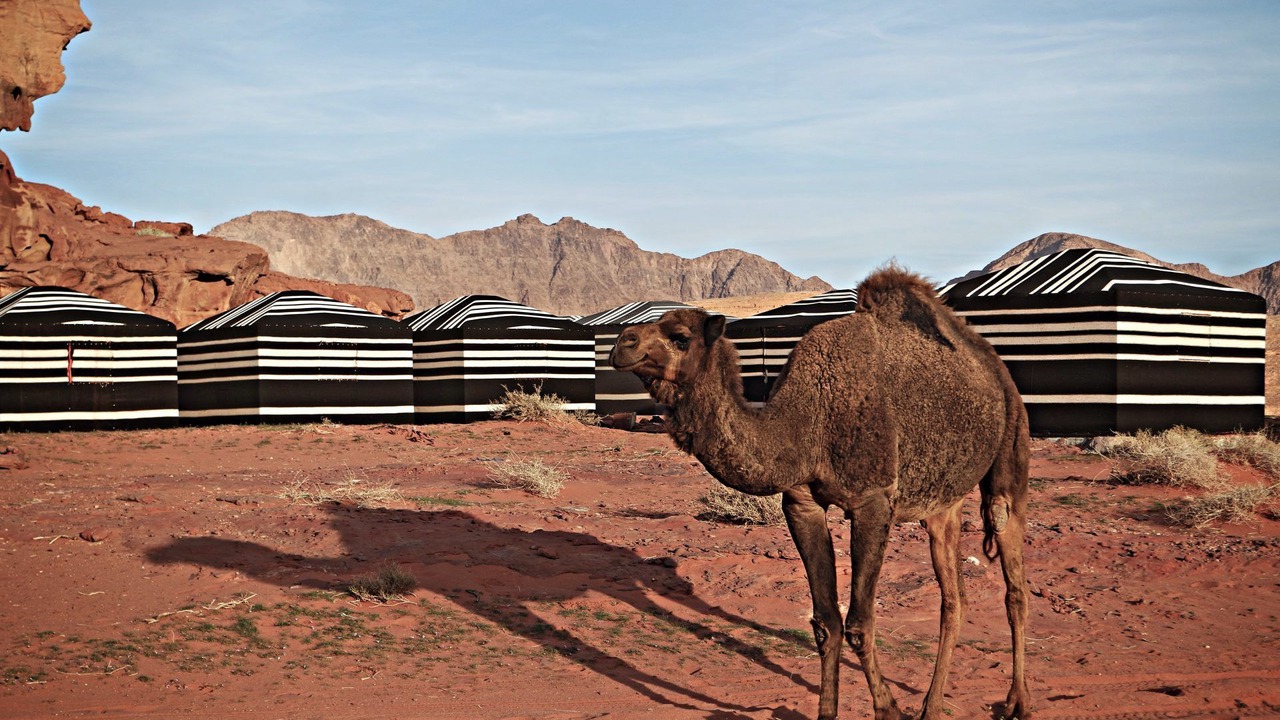 Photo of Outdoor in Wadi Rum