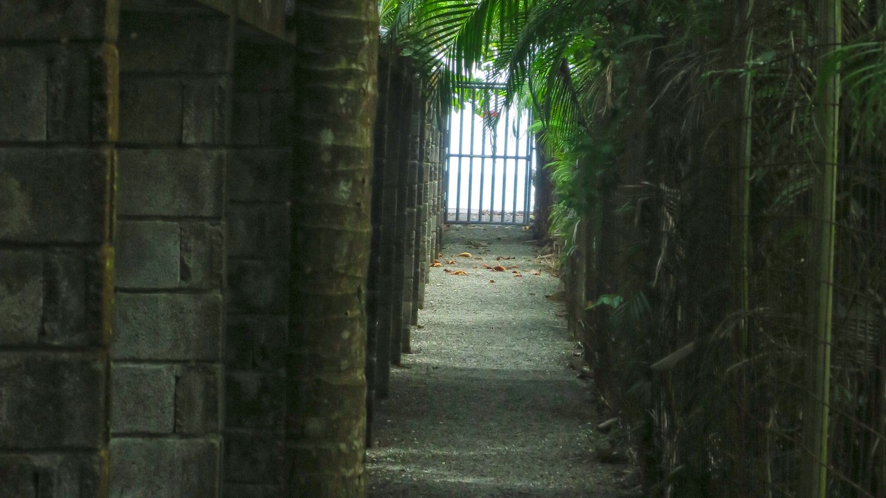 Photo of Others in Jaco