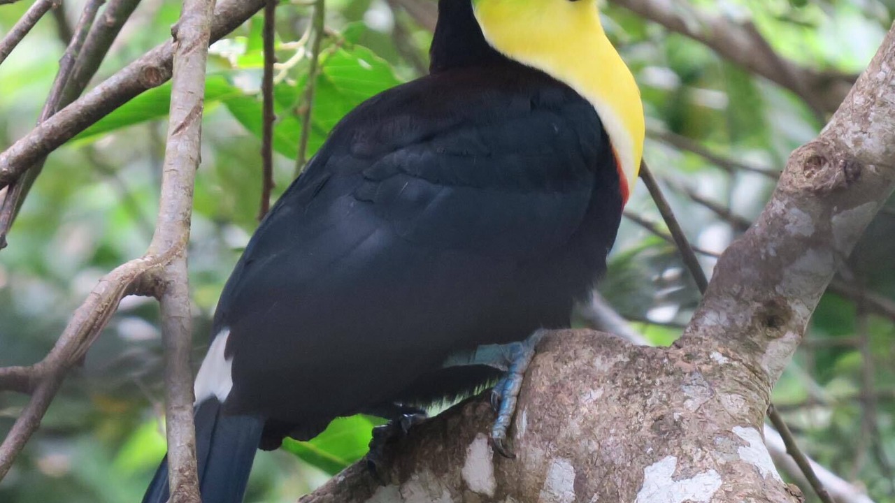 Photo of Outdoor in Jaco