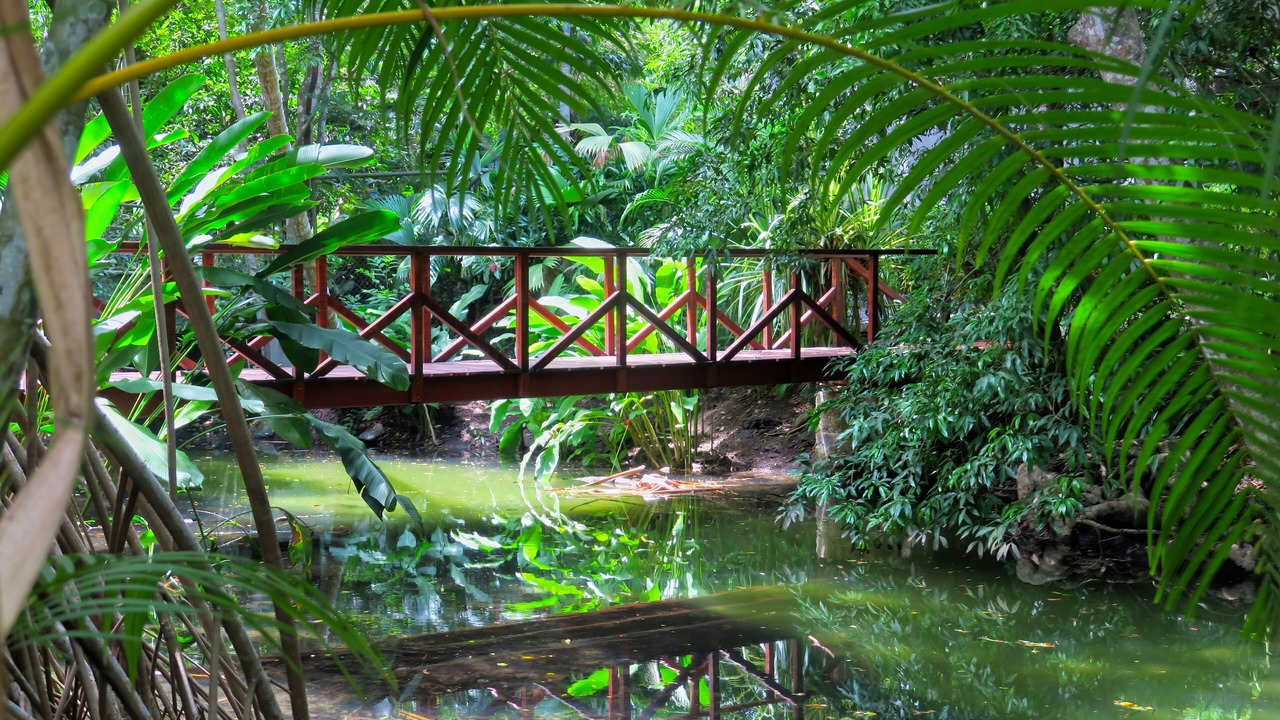 Photo of Others in Jaco