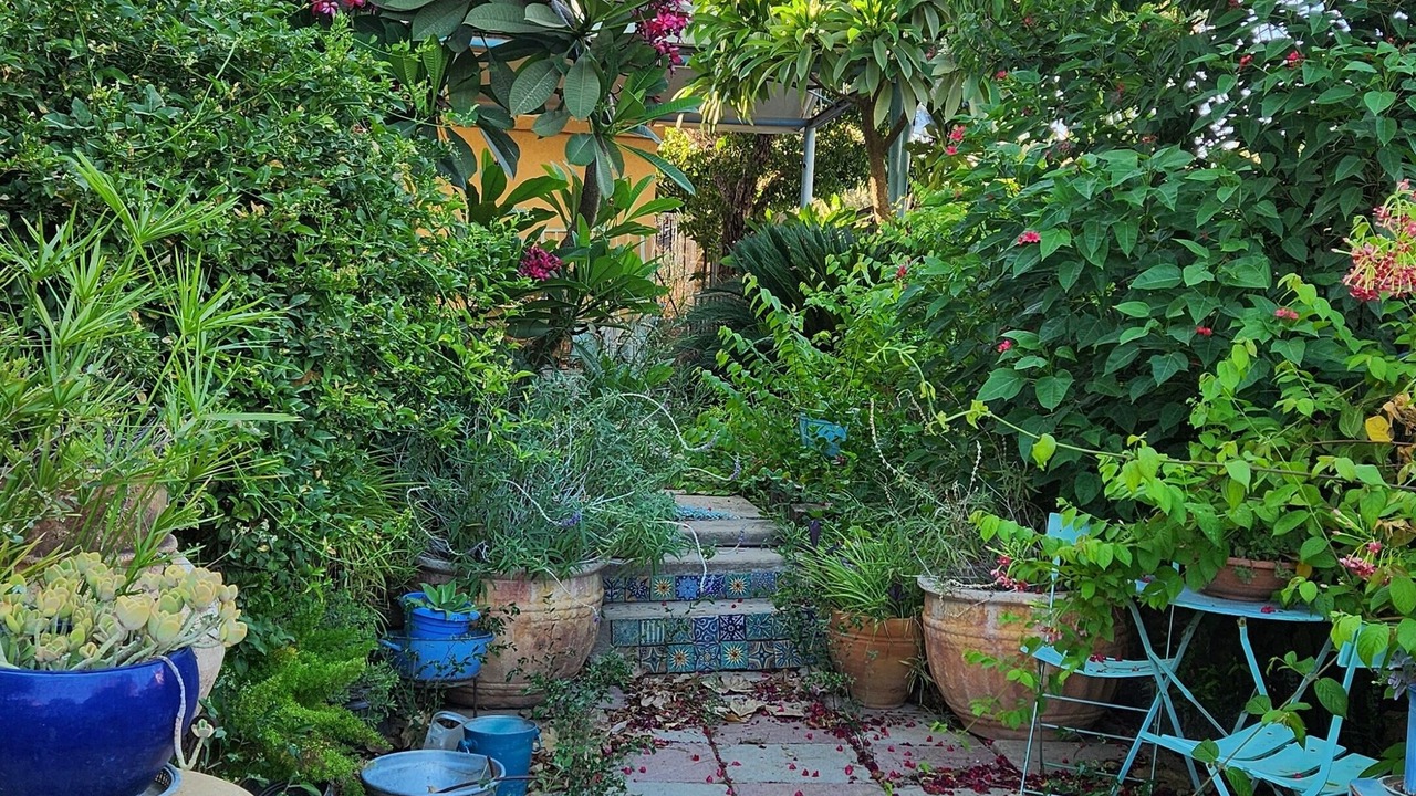Photo of Outdoor in Migdal