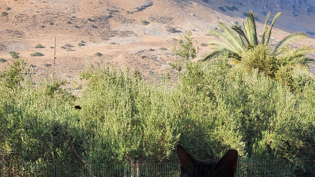 Photo of Outdoor in Migdal