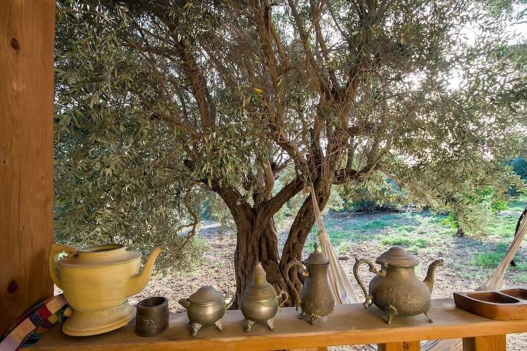 Photo of Outdoor in Migdal