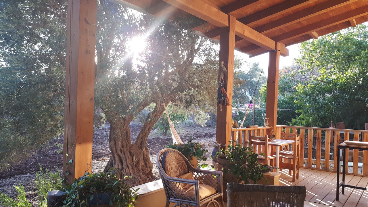 Photo of Outdoor in Migdal