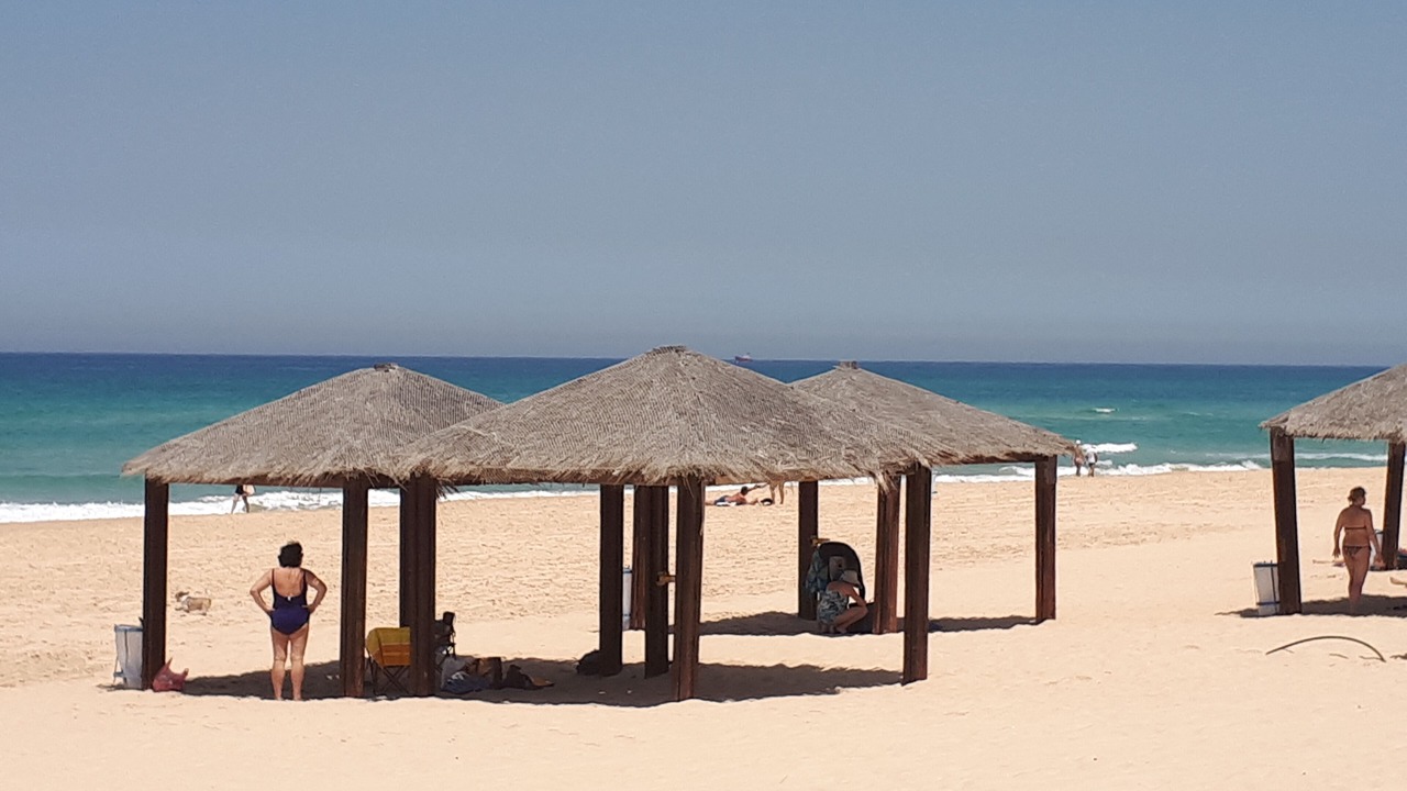 Photo of Others in Ashdod