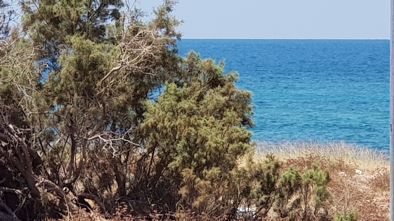 Photo of Others in Nahariya