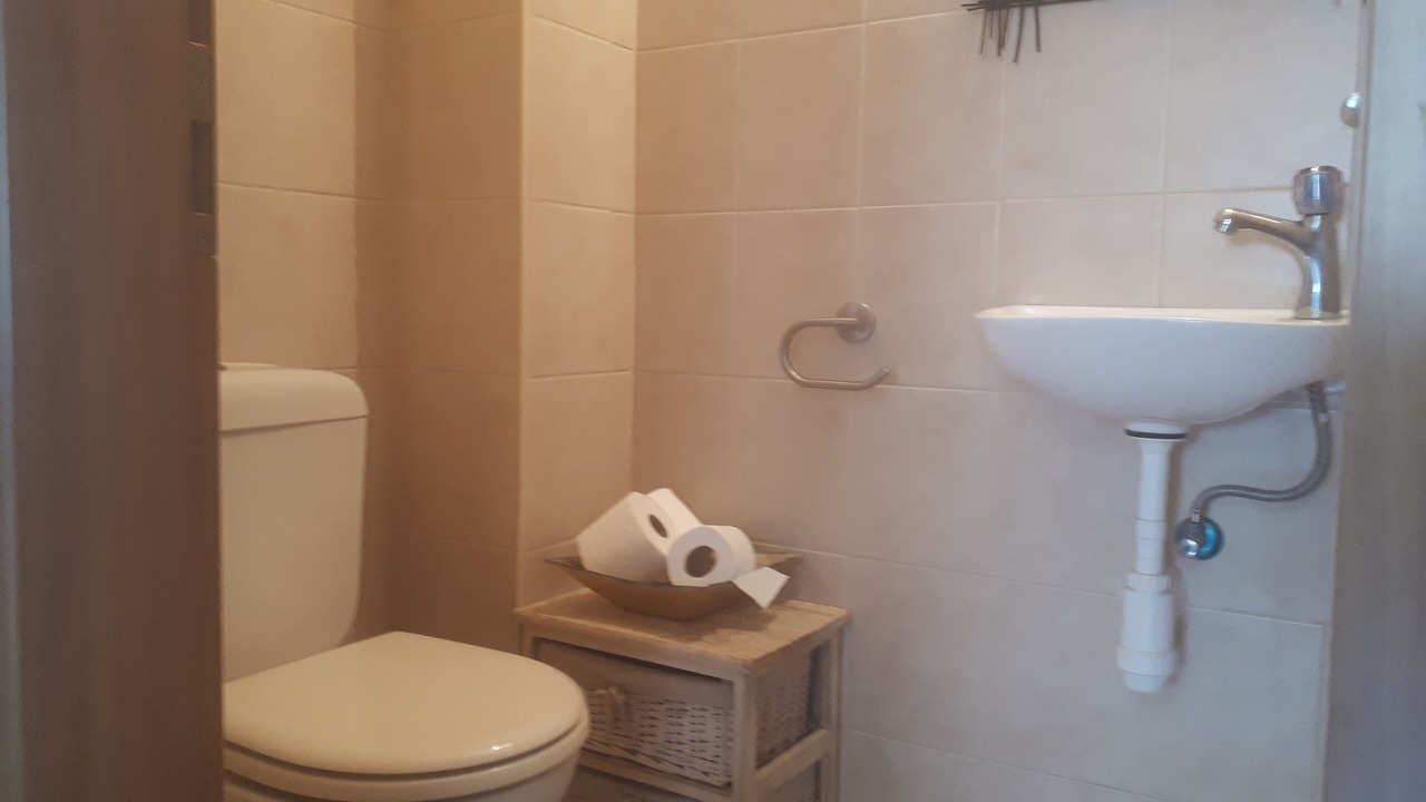 Photo of Bathroom in Ashdod
