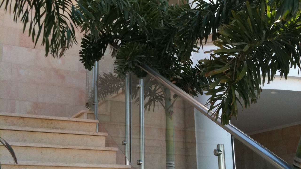 Photo of Outdoor in Eilat
