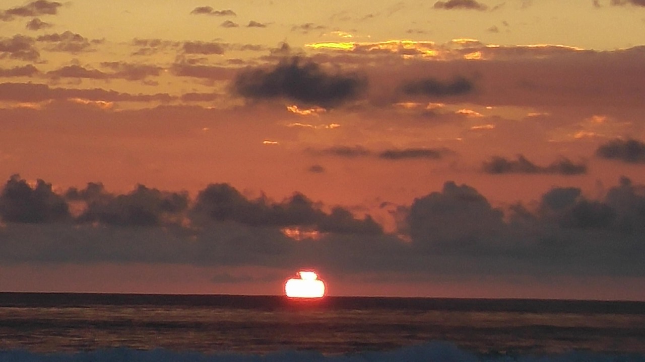 Photo of Others in Jaco