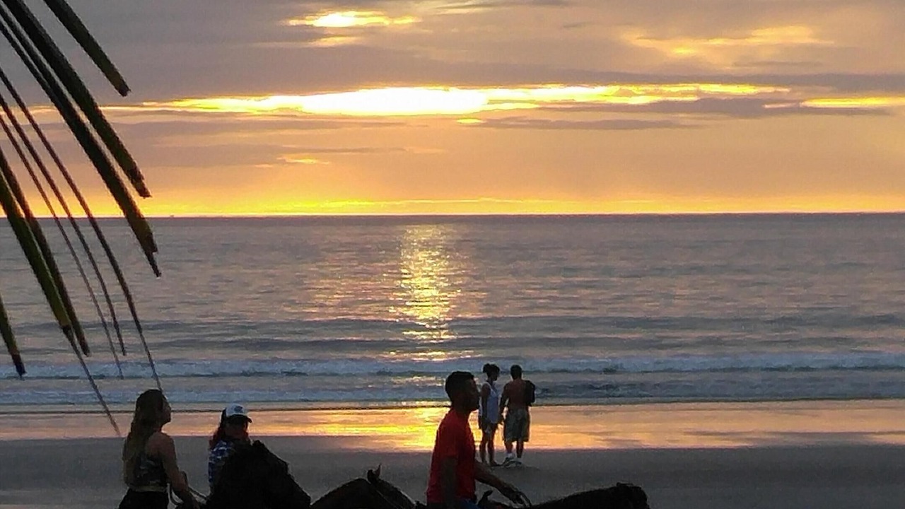 Photo of Others in Jaco