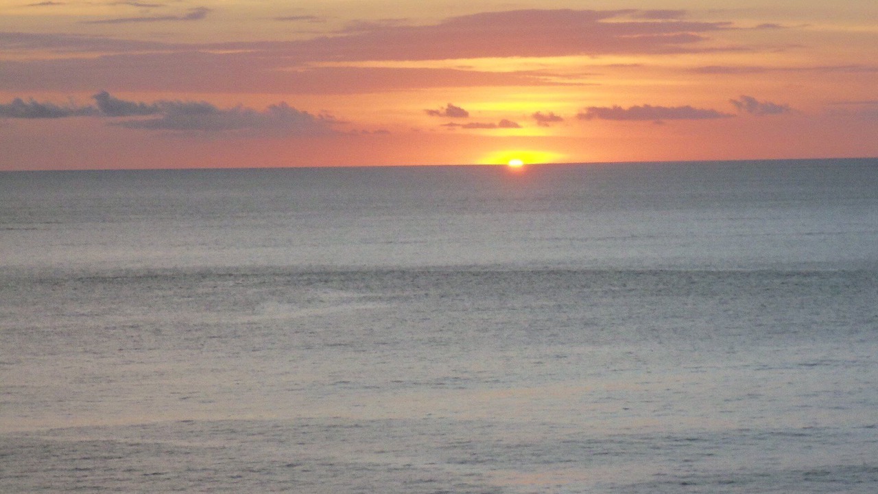 Photo of Others in Jaco