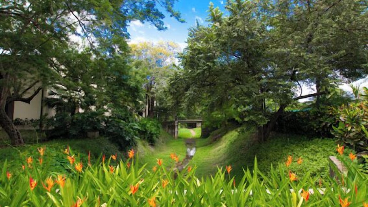 Photo of Outdoor in Coco