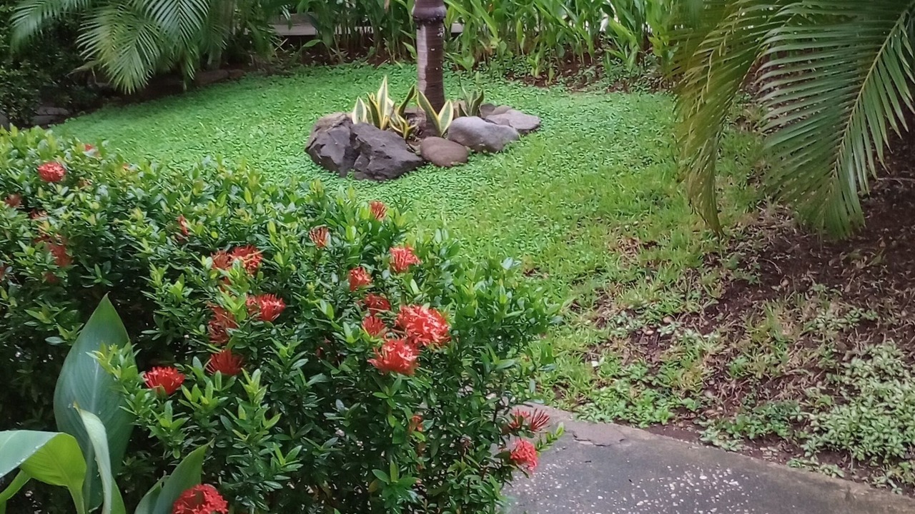 Photo of Outdoor in Coco