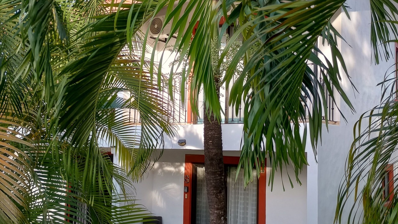 Photo of Outdoor in Coco