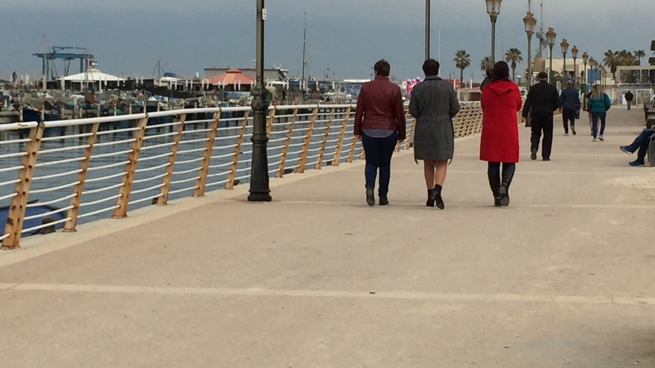 Photo of Others in Ashkelon