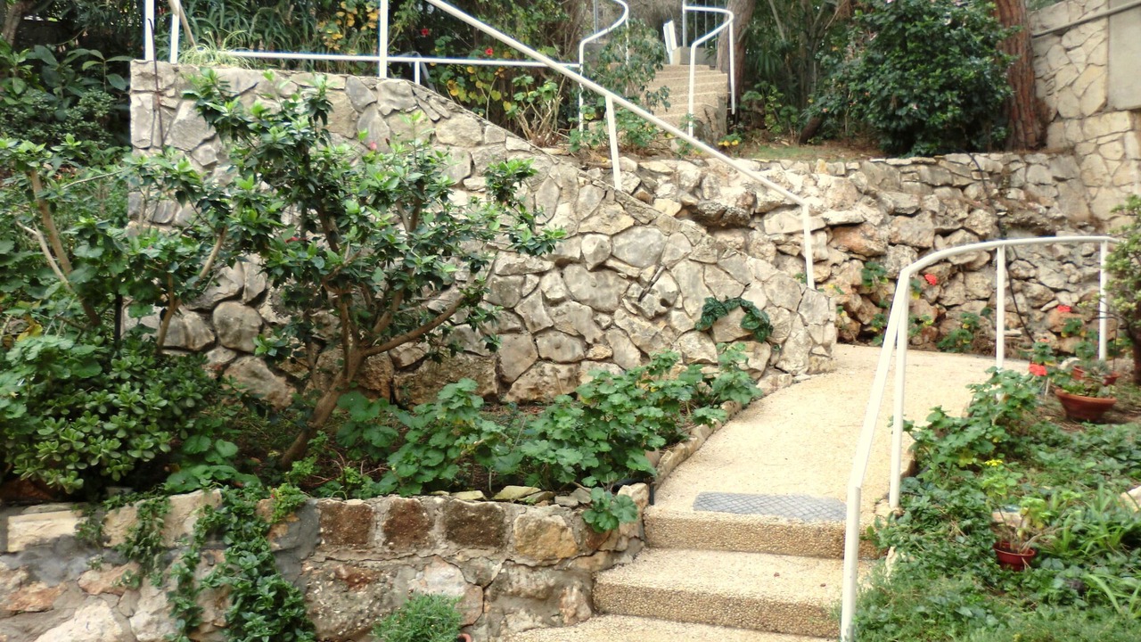 Photo of Others in Haifa