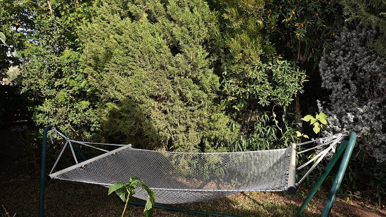 Photo of Outdoor in Ramot