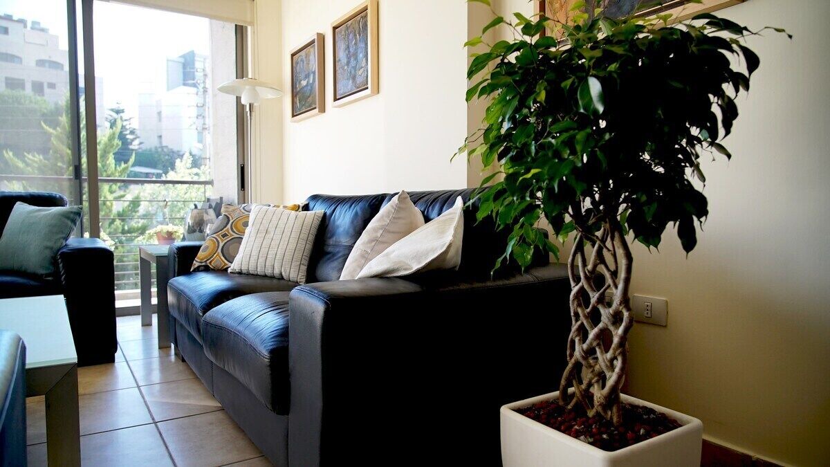 Photo of Livingroom in Amman