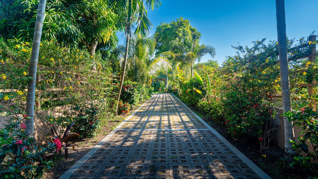 Photo of Outdoor in Esterillos Este