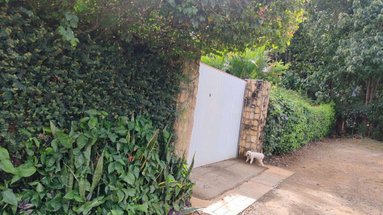 Photo of Outdoor in Artola