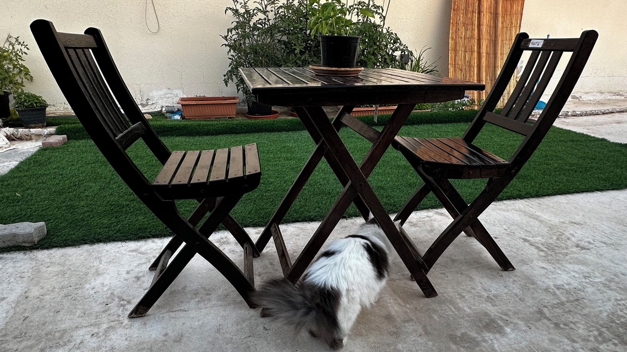 Photo of Outdoor in Al Ain