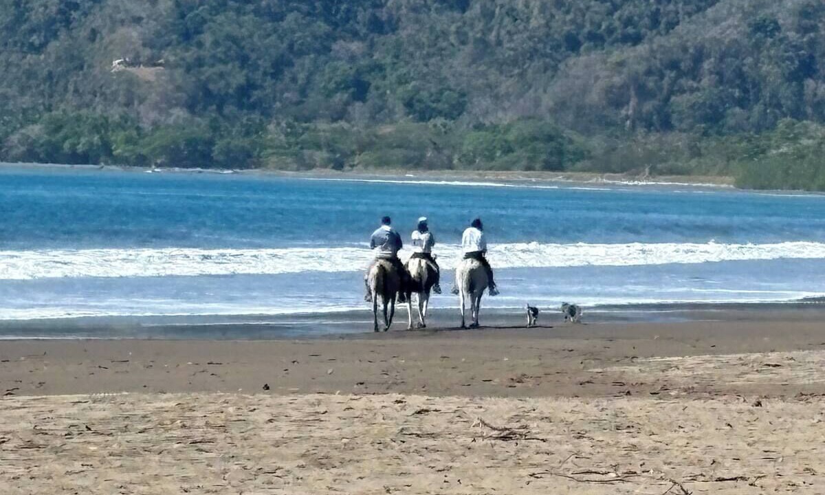 Photo of Others in Tambor